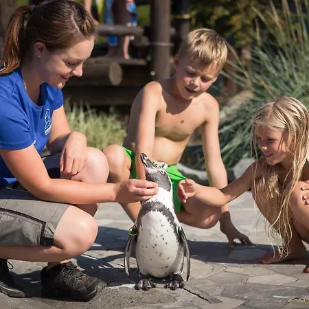 Spreewelten מלון 4*