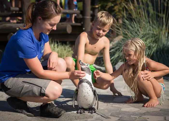 Spreewelten Hotell 4*